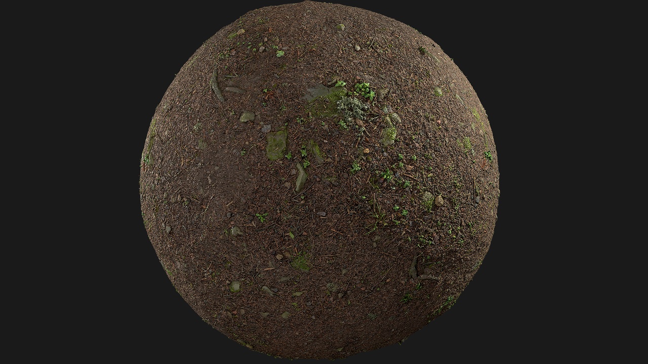 Forest Ground (4P6fN5) | Fab