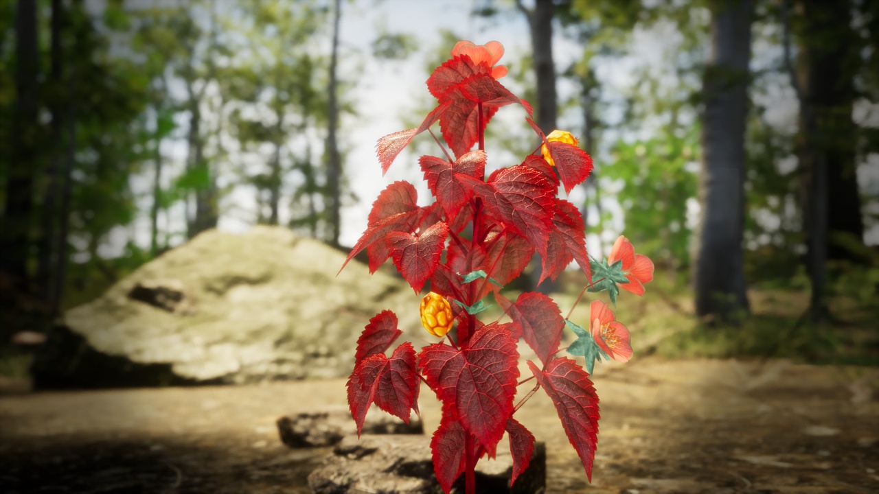 Media 1 for listing Red Fantasy Forest - 6 Magenta Poinsettia Flower Grass Plant