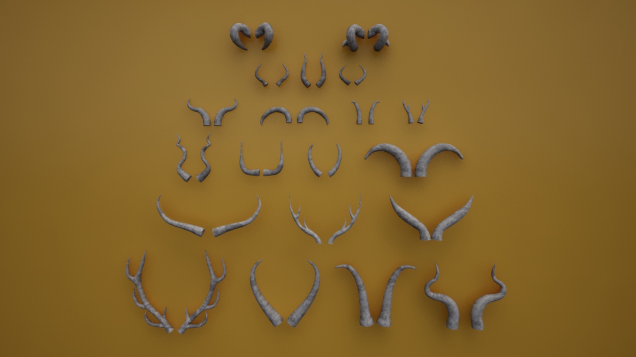 Media 1 for listing Horns