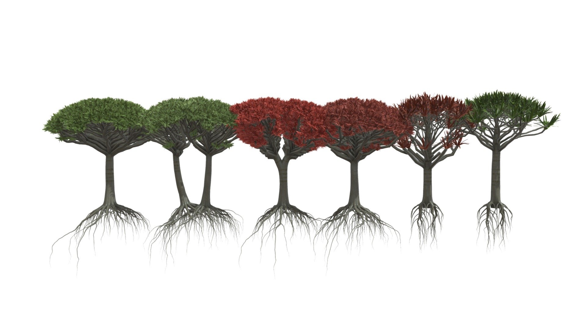 Dragon Blood Tree 3D Model | Fab