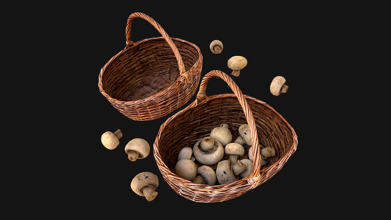 Media 1 for listing BasketMushroomsUE