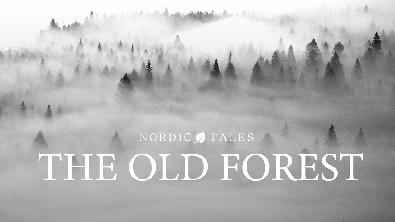 Media 1 for listing Nordic Tales - The Old Forest