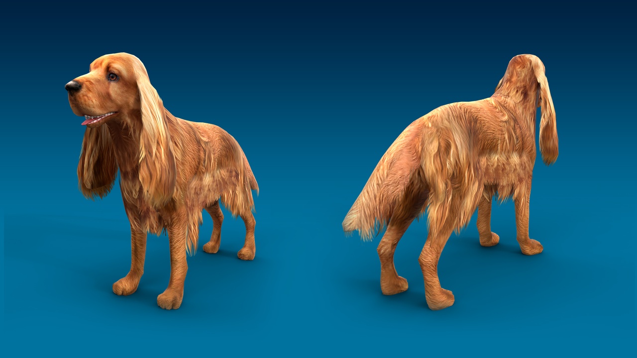 Media 1 for listing English Cocker Spaniel 3D Dog Model