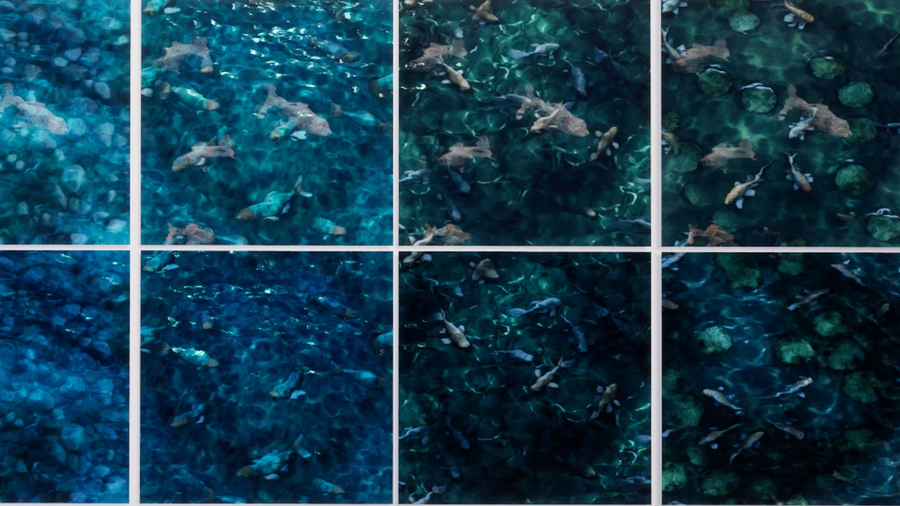 商品 23 Animated Koi Pond Materials 的媒体 1