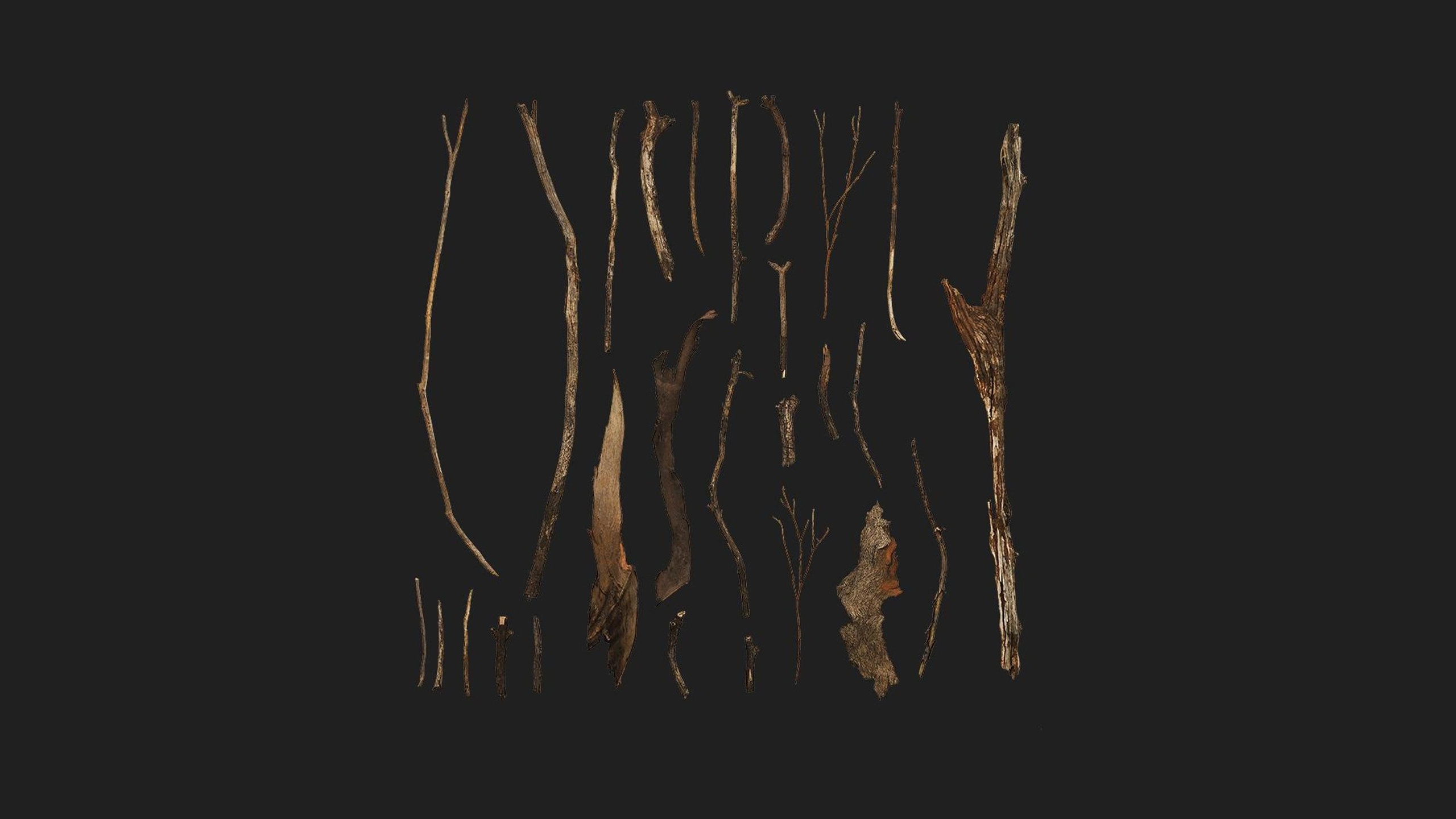 Media 1 for listing Sticks and Twigs