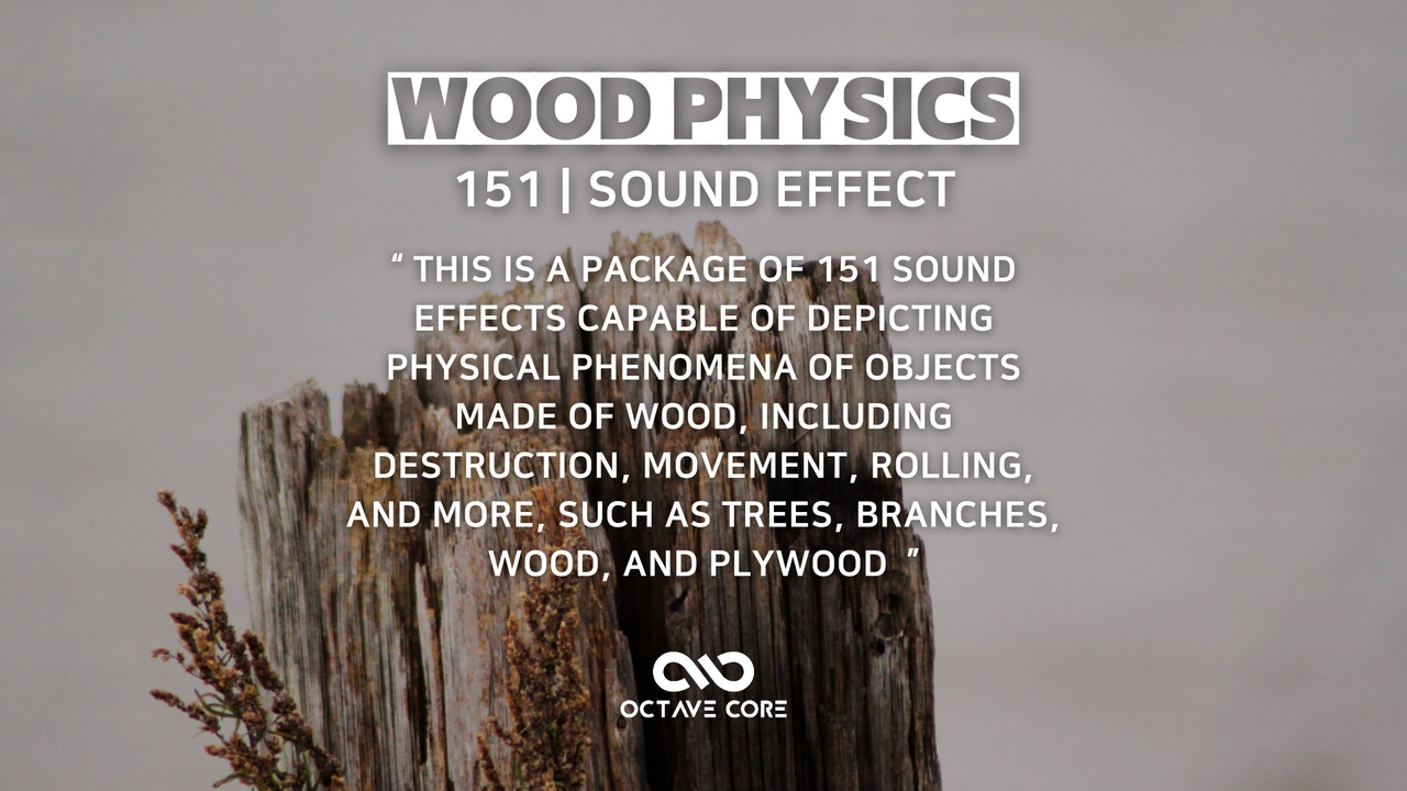 WoodPhysics1 SoundEffect 제품 등록을 위한 미디어 1개