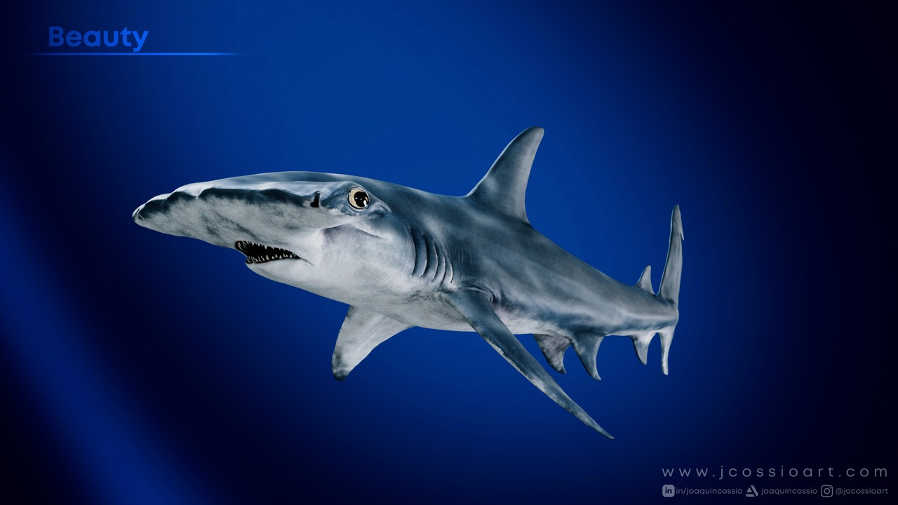 Media 1 for listing Realistic Hammerhead Shark Game Ready