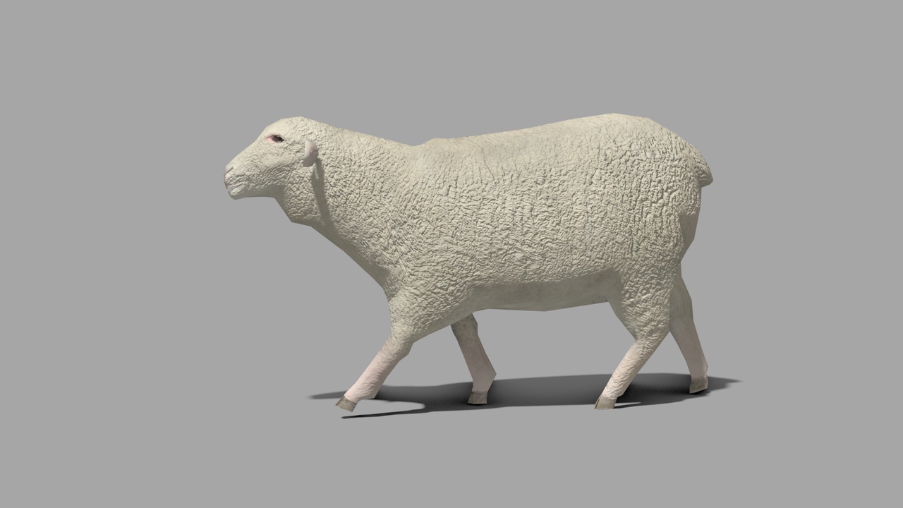 Media 1 for listing Sheep, lowpoly animated 3d model+VFX