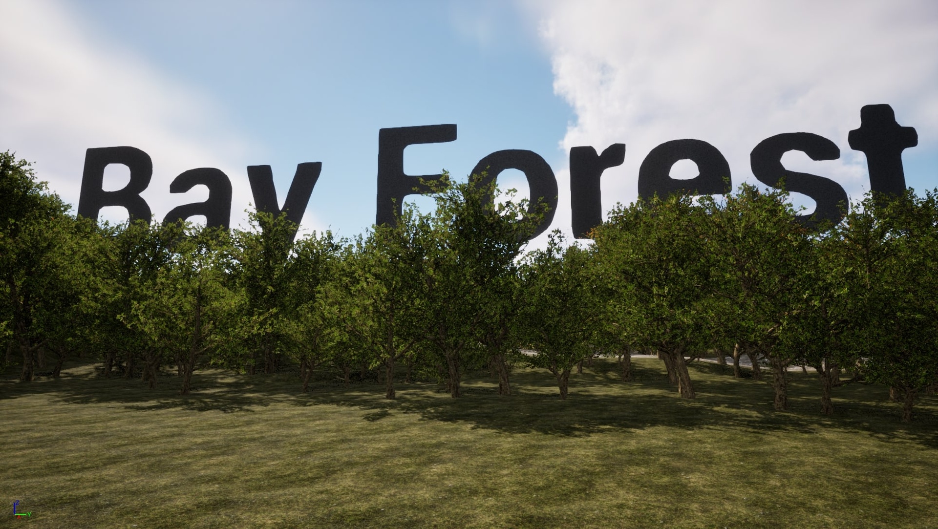 Media 1 for listing Trees: Bay Tree Forest