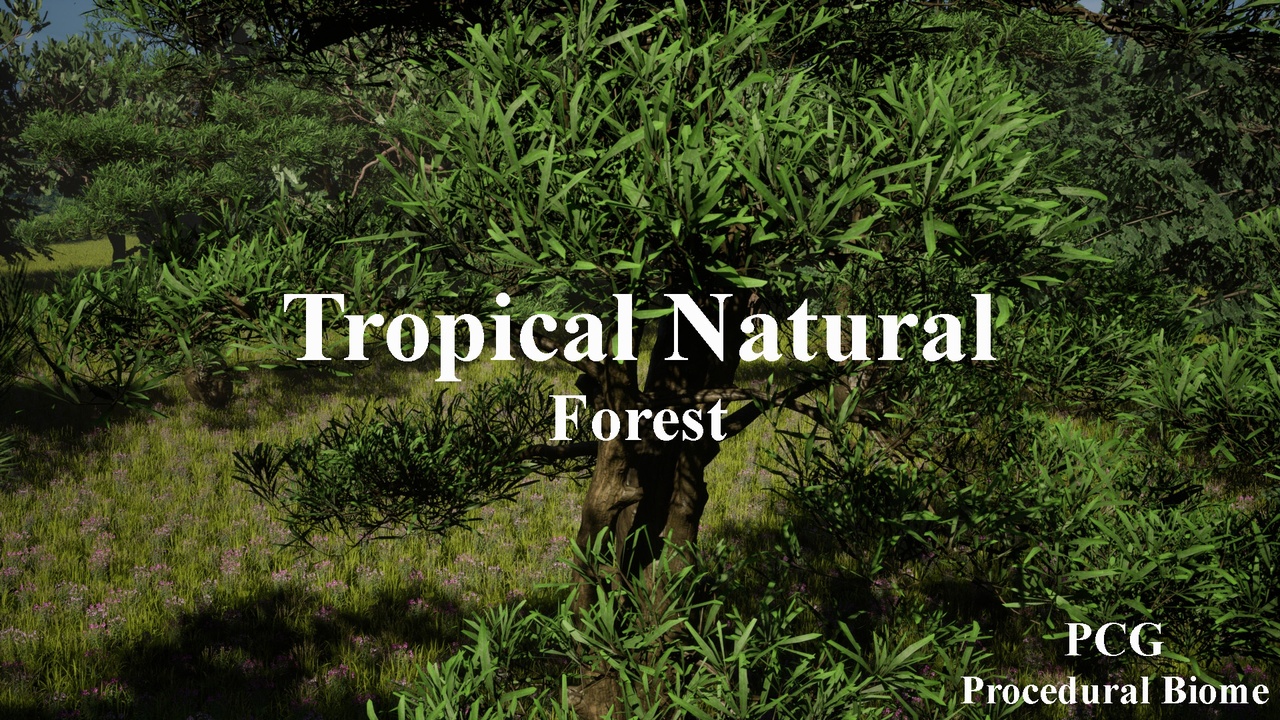 Media 1 for listing Tropical Natural Forest