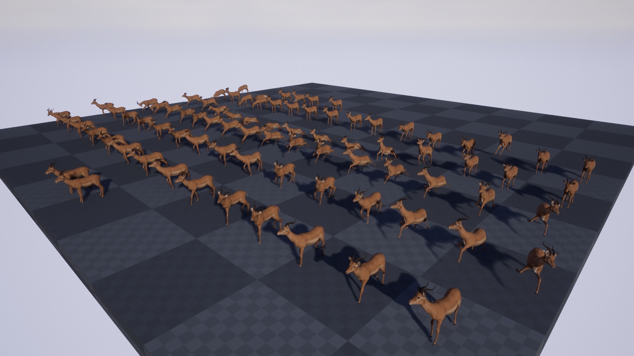 Media 1 for listing Antelope Impala