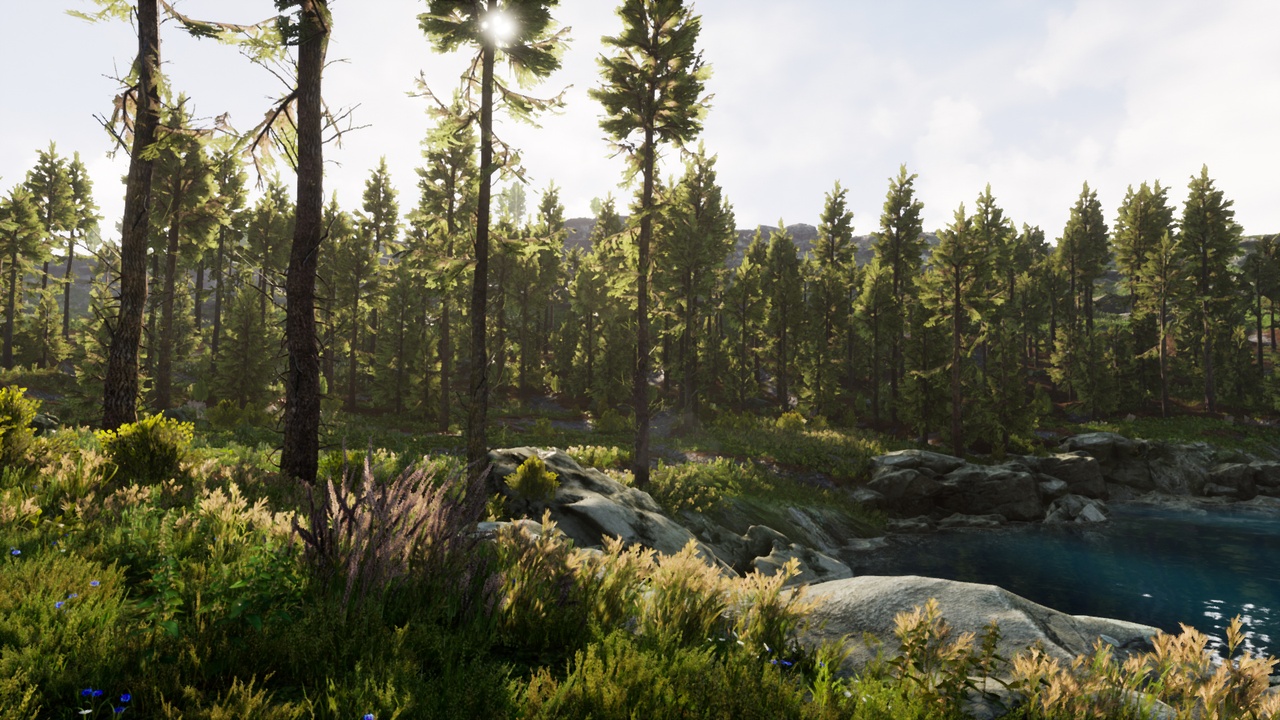Media 1 for listing Landscape Pro 3 - Automatic Natural Environment Creation Tool