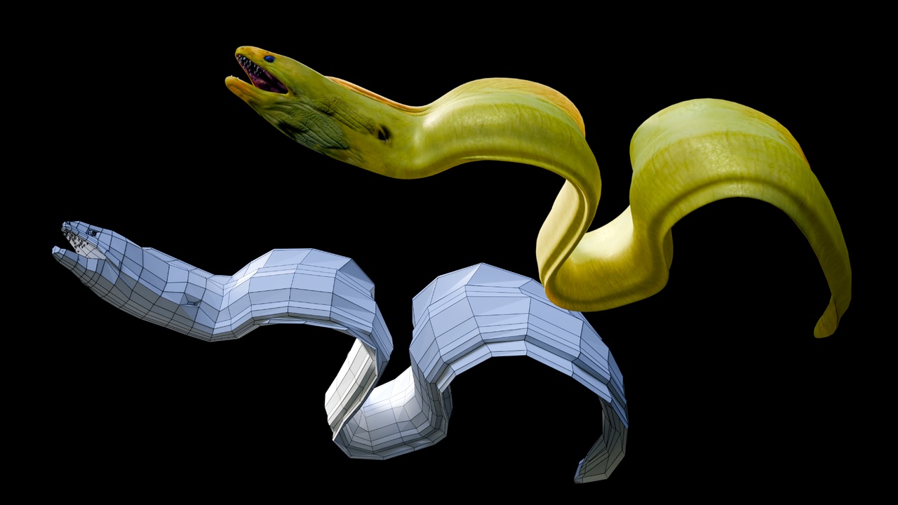 Animated Moray Eel | Fab