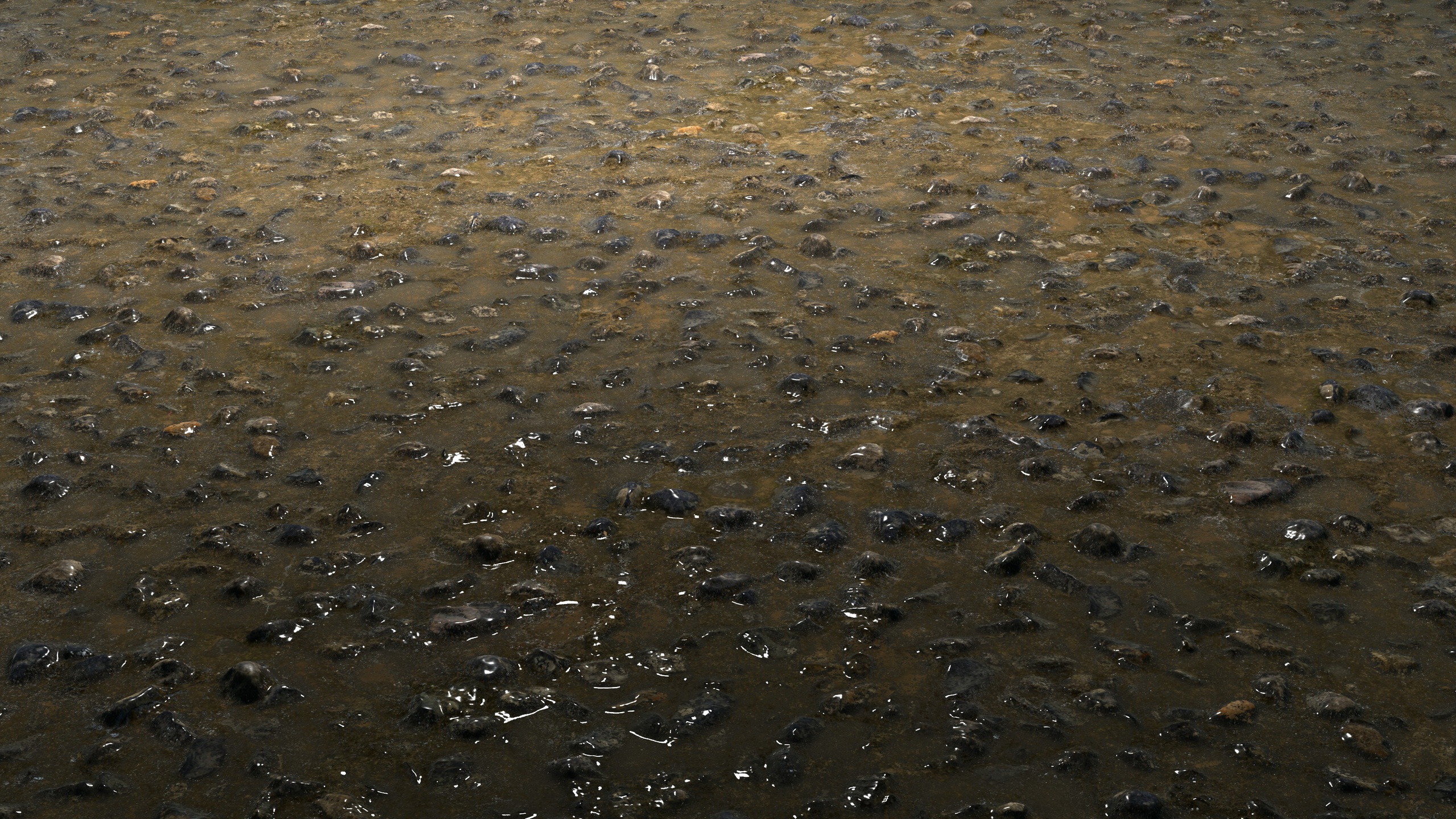 Media 1 for listing Wet Road 8K PBR Texture