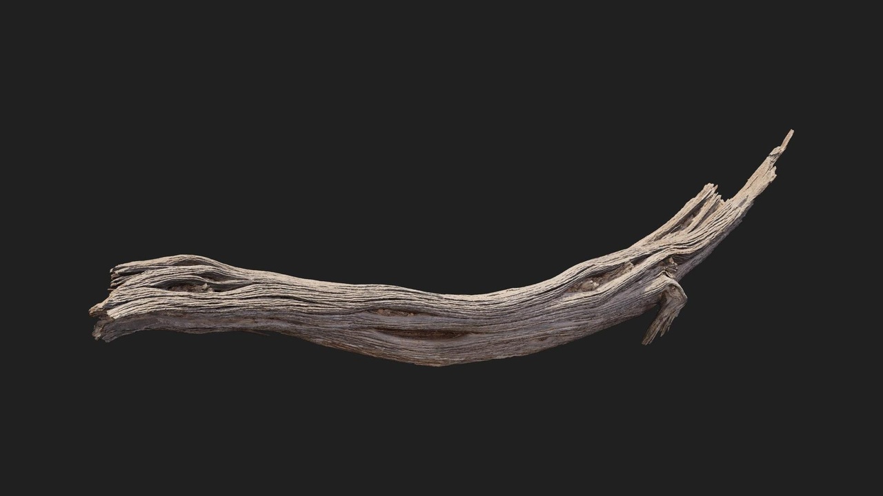 Media 1 for listing Desert Western Tree Log Dead Small 04