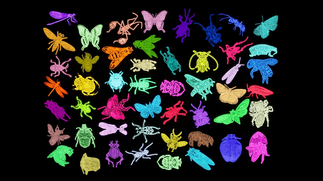 Media 1 for listing Insect Decals