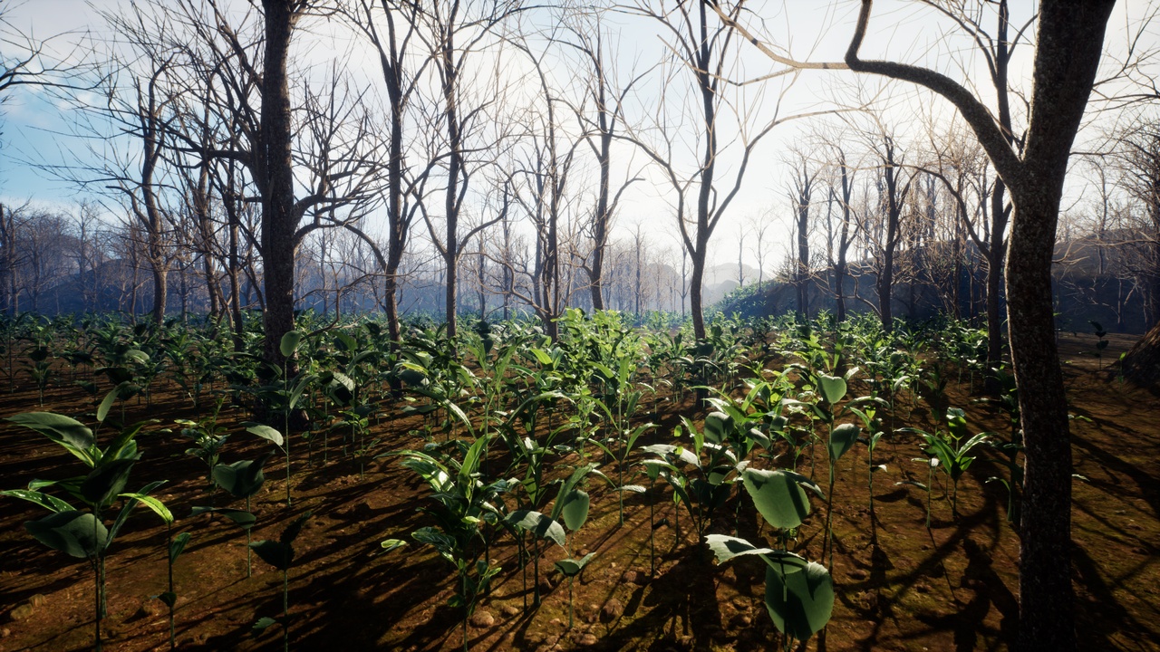 Media 1 for listing Interactive PCG Forest Plants with interactive sound (FRP2)