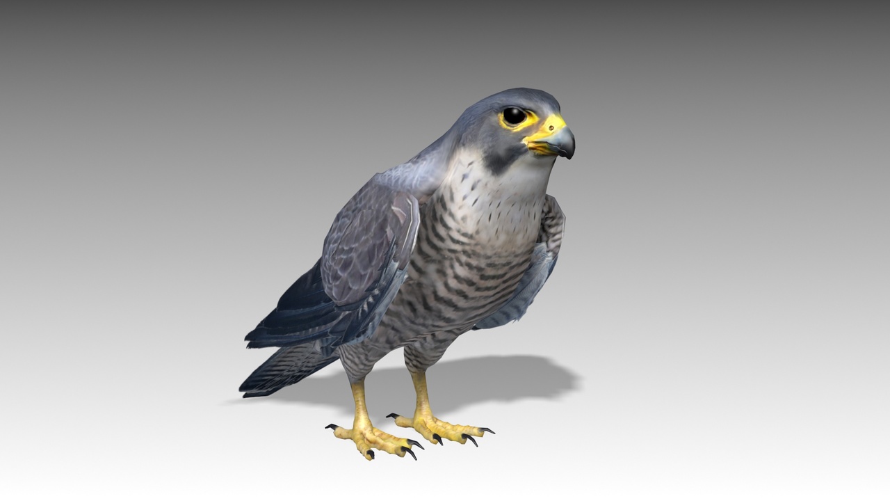 Media 1 for listing Falcon