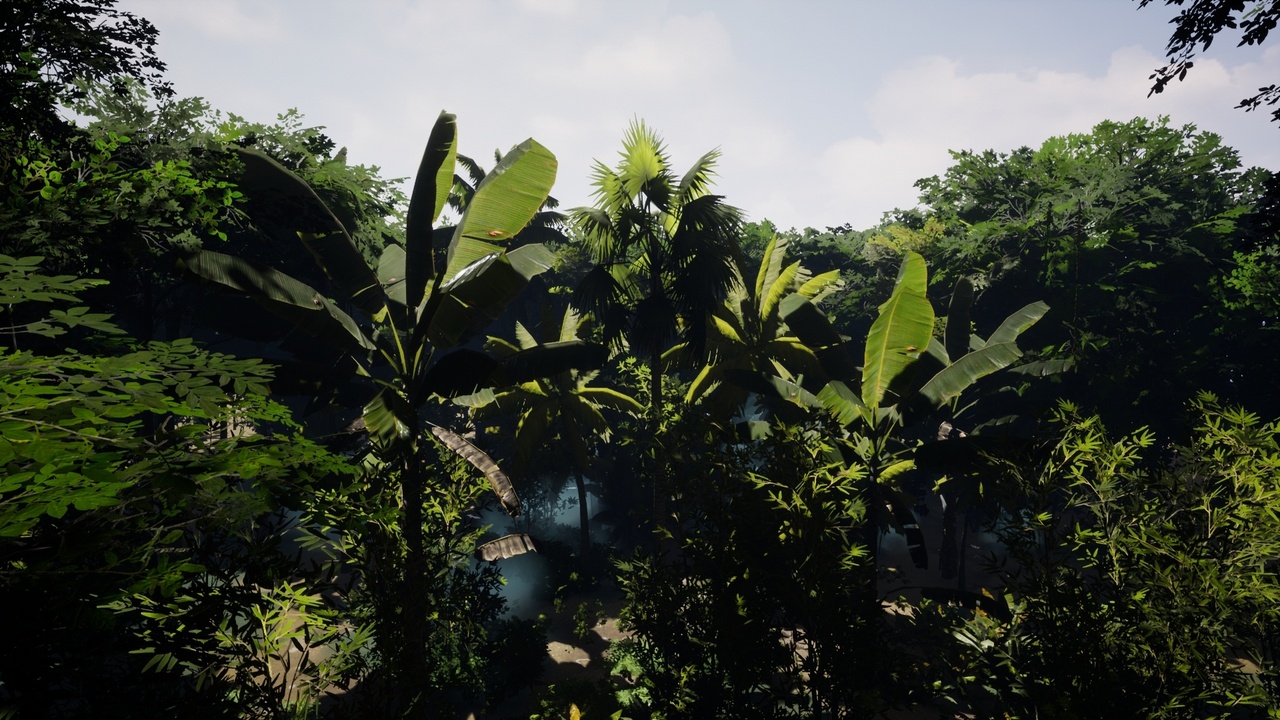 Media 1 for listing Tropical South-East Asia Jungle Pack