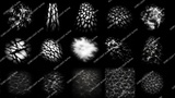 Asset image