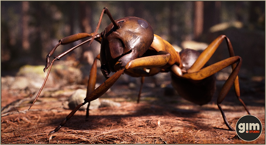 Animalia - Carpenter Ant | Fab