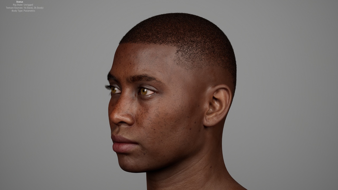 Media 1 for listing Short Coily Buzz Cut with Low Shadow Fade – MetaHuman Groom