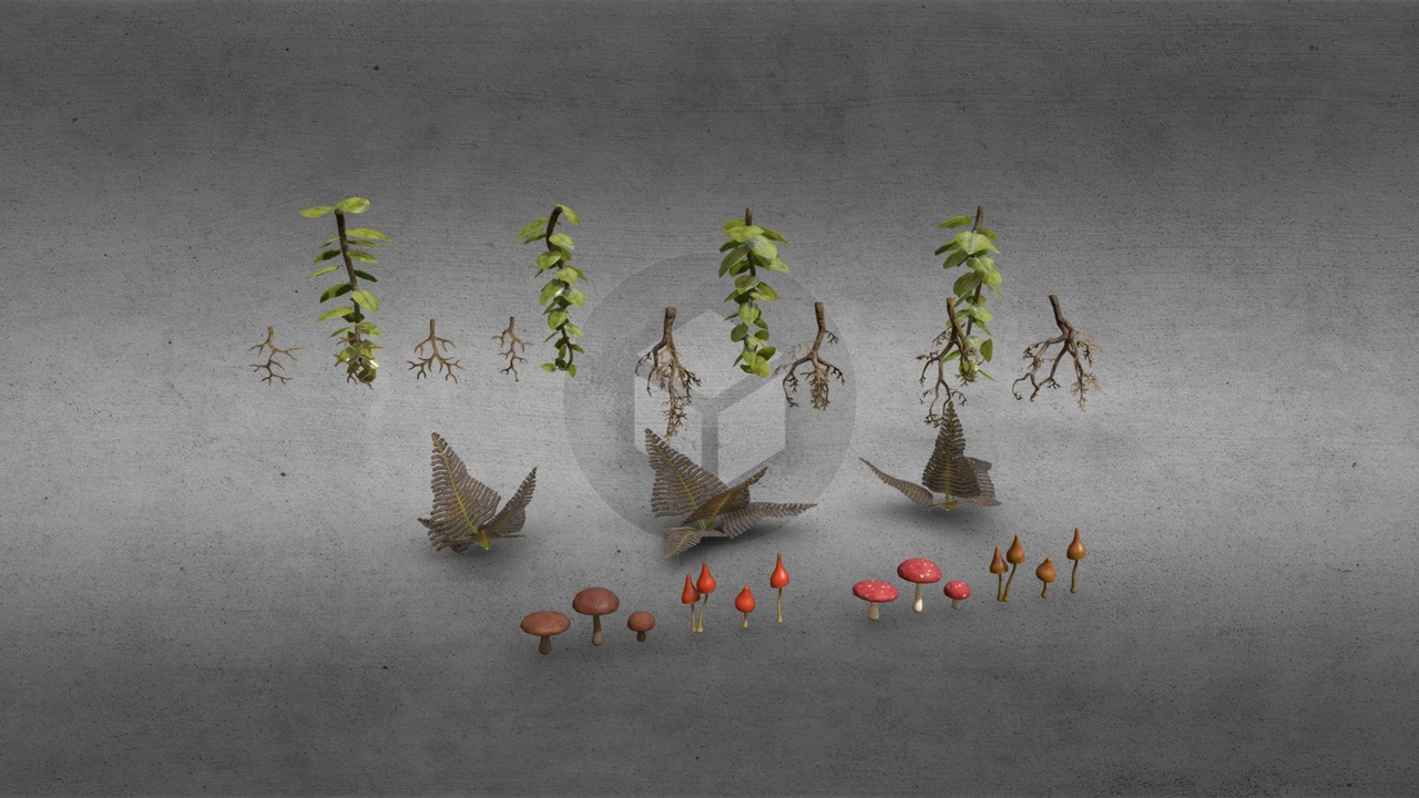 File multimediali per l'articolo Cave Plants - Vines Roots Ferns Mushrooms: 1