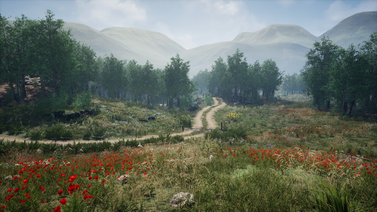 Media 1 for listing Meadow - Environment Set