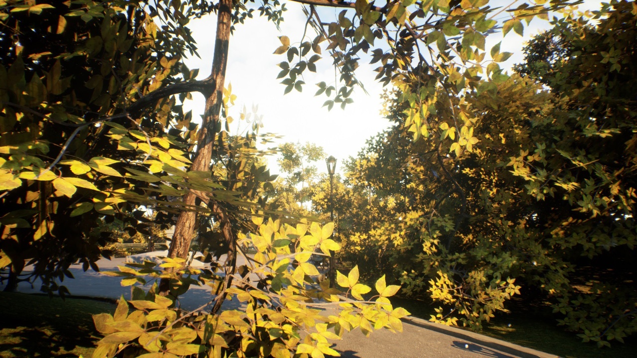 Media 1 for listing Tree Pack 14 (Mobile/PC)