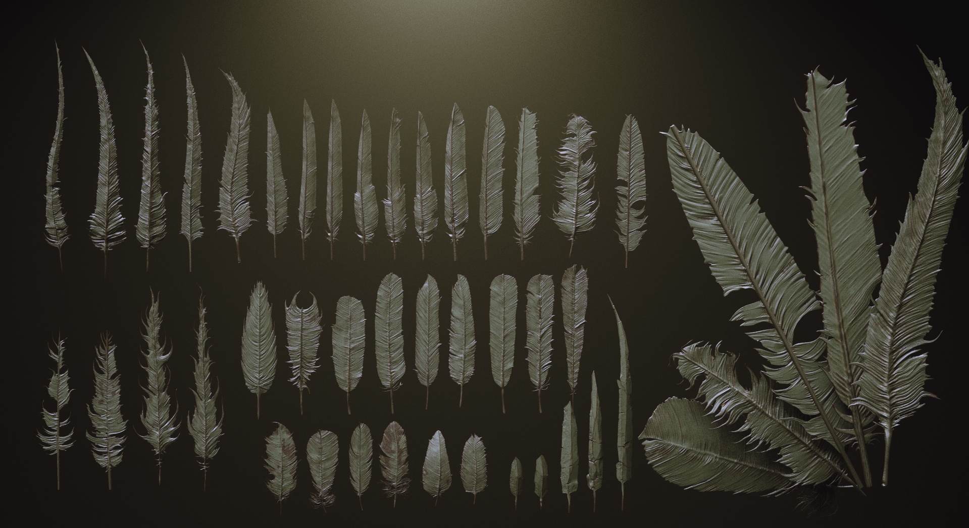 Media 1 for listing FEATHERS - 40 High poly sculpts and Insert Mesh Brush