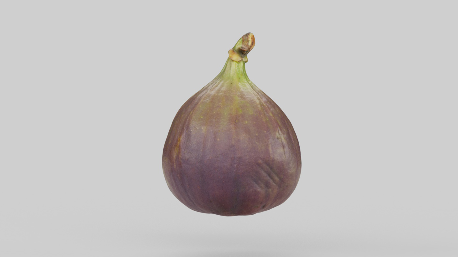 Fig Fruit | Fab