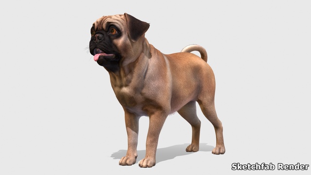 【SOFT THUMBNAIL】 Chun, Pug Chun, Pug - soft thumbnail