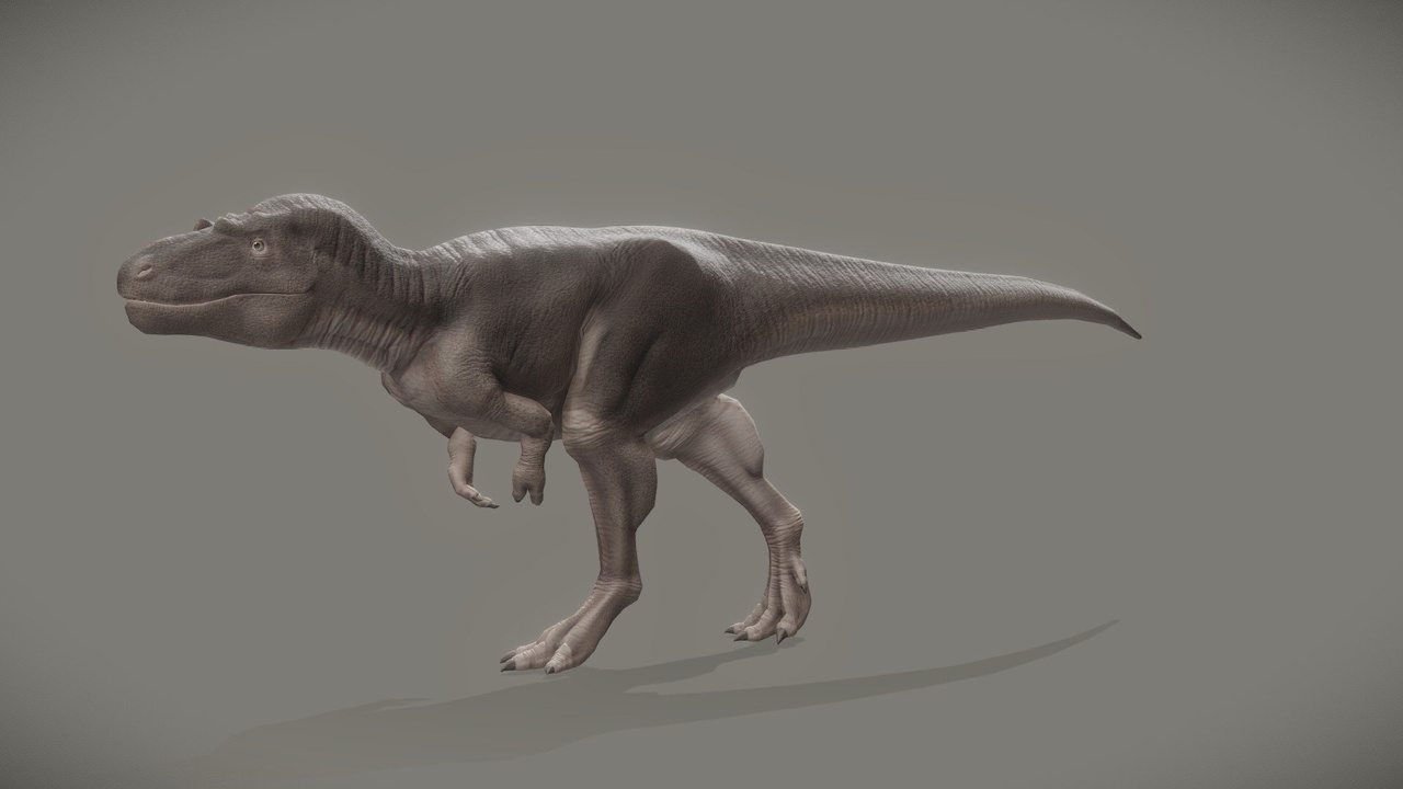 Media 1 for listing Daspletosaurus Torosus