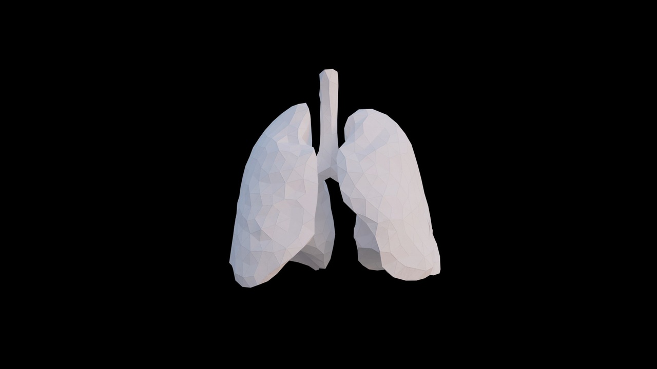 Media 1 for listing Origami human lungs made out of triangles. Unfolding growing animation.