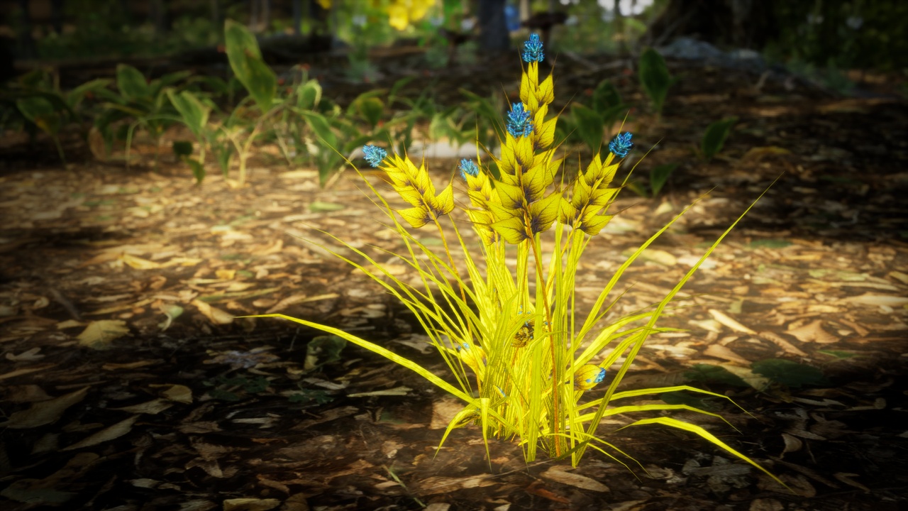 Media 1 for listing Yellow Fantasy Forest - 6 Radiant Pod Fern Grass Plant