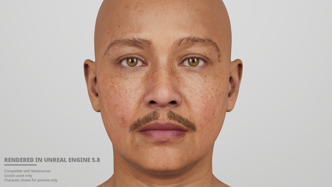 Media 1 for listing Natural Pyramid Moustache – MetaHuman Groom