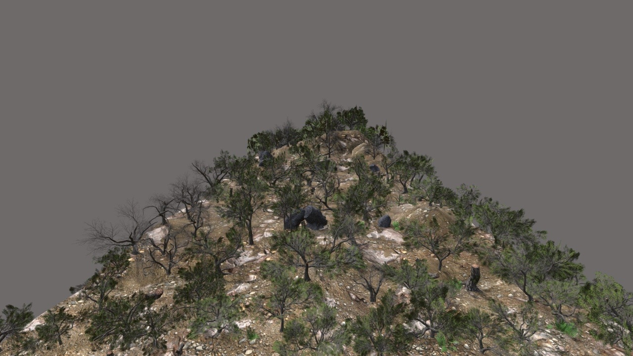 Media 1 for listing Live Oak Jungle