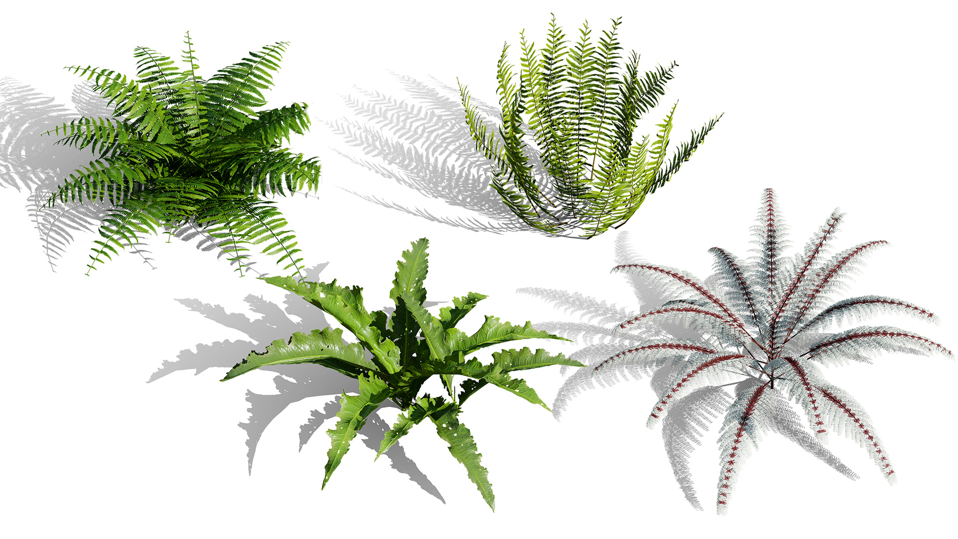 Random Greenery Lush Woodland Greenery | Fab