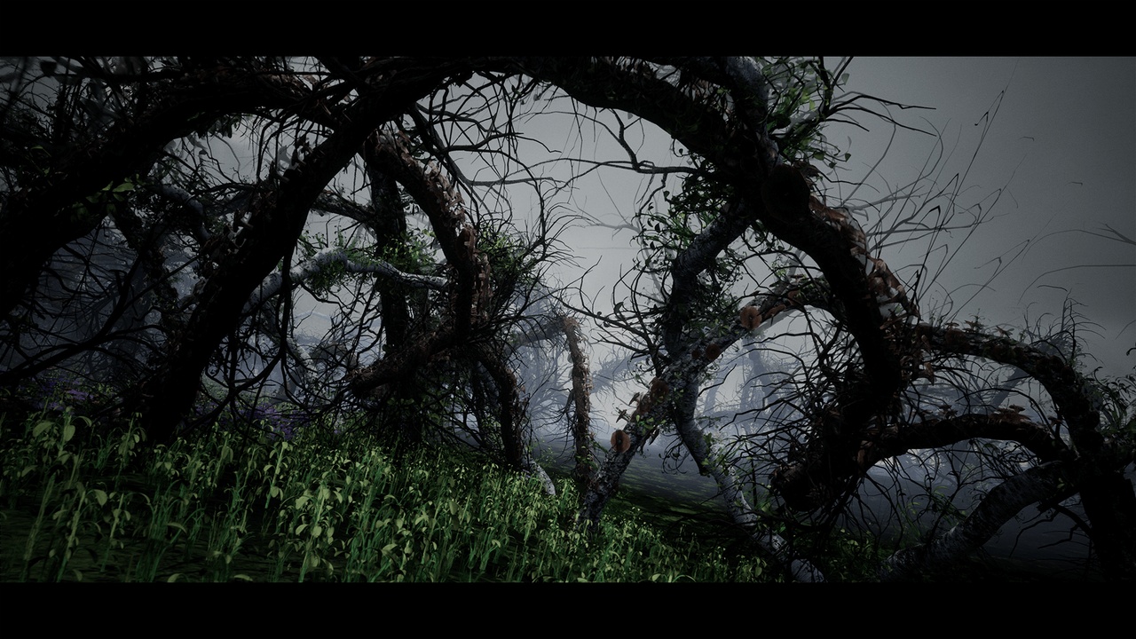 Media 1 for listing Malformed Forest