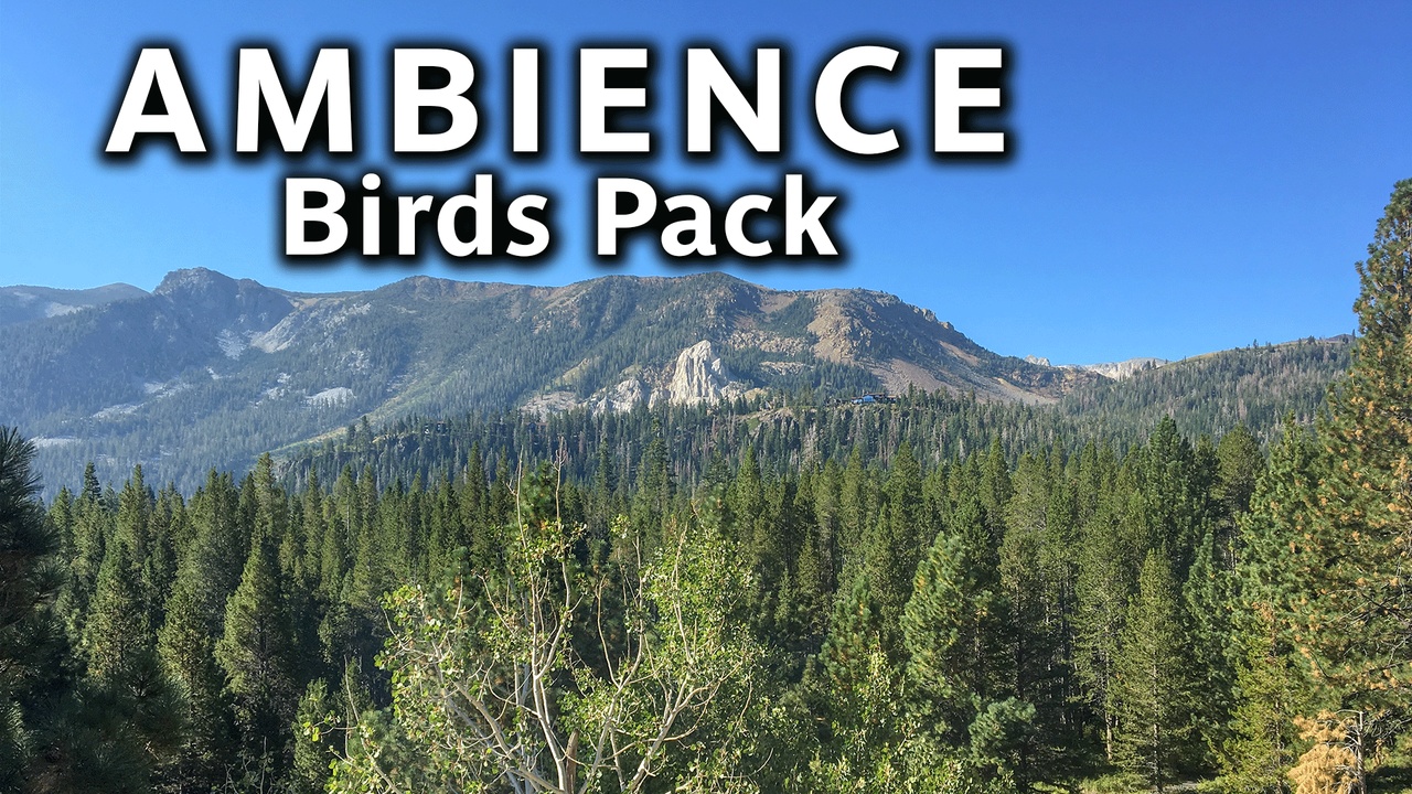 Media 1 for listing Birds Pack Ambience Sound Effects