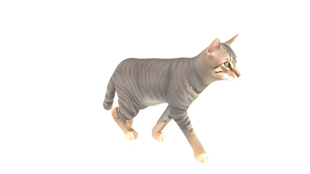 Thumbnail of an asset created by tavantu