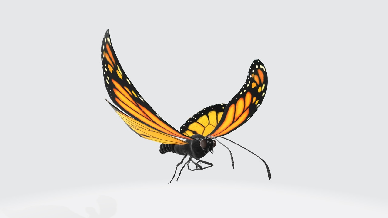Media 1 for listing Fully Rigged and Animated Realistic Fluttering Butterfly