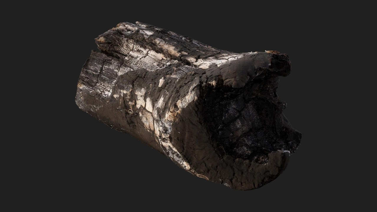 Media 1 for listing Burnt Firewood