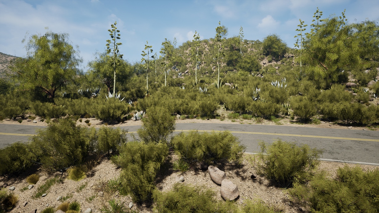 Media 1 for listing Pro Desert Plants
