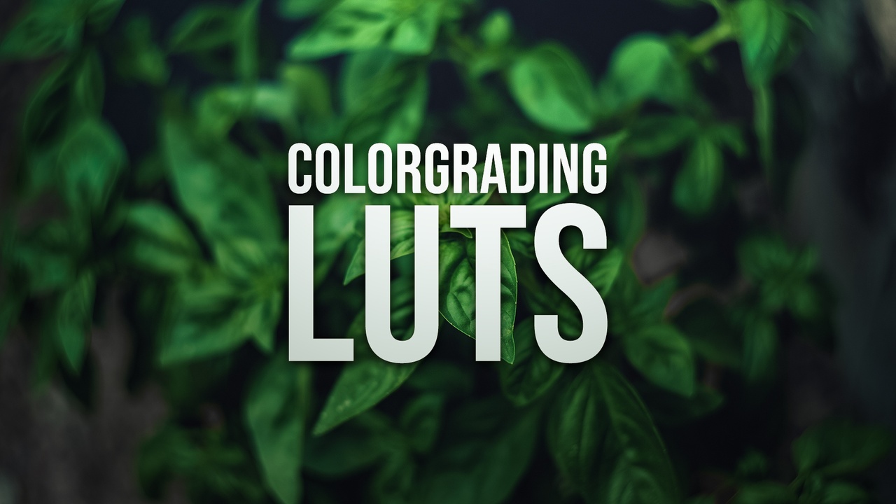 Media 1 for listing Color Grading 455+ LUTs