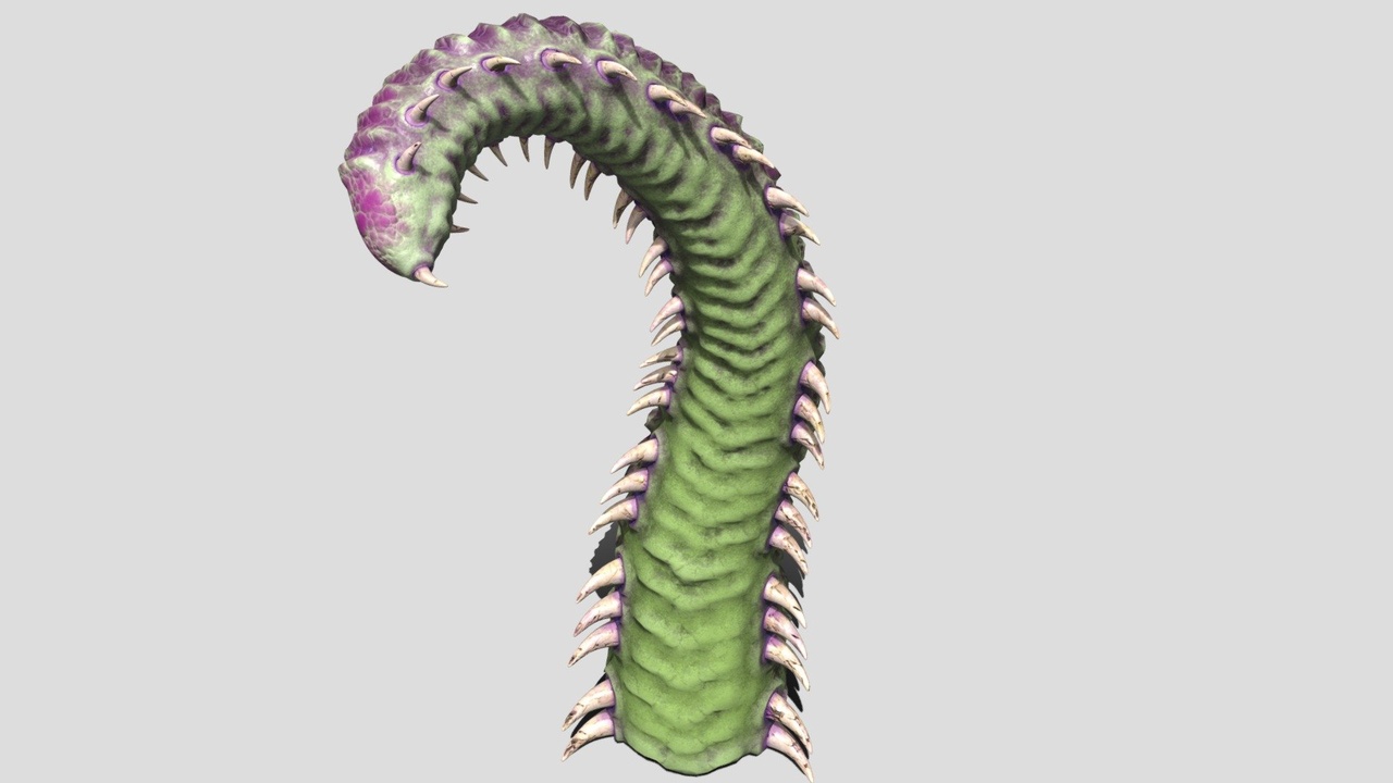Media 1 for listing tentacle