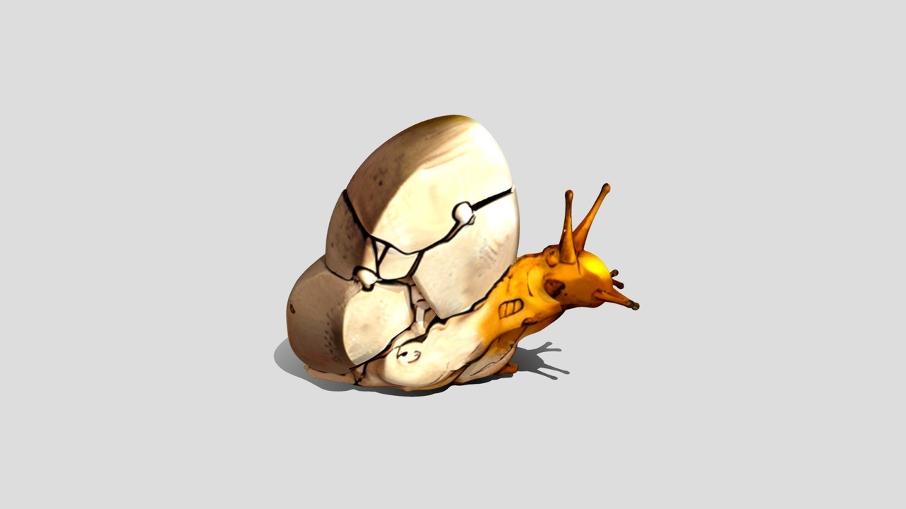 Media 1 for listing Boiled egg Snail