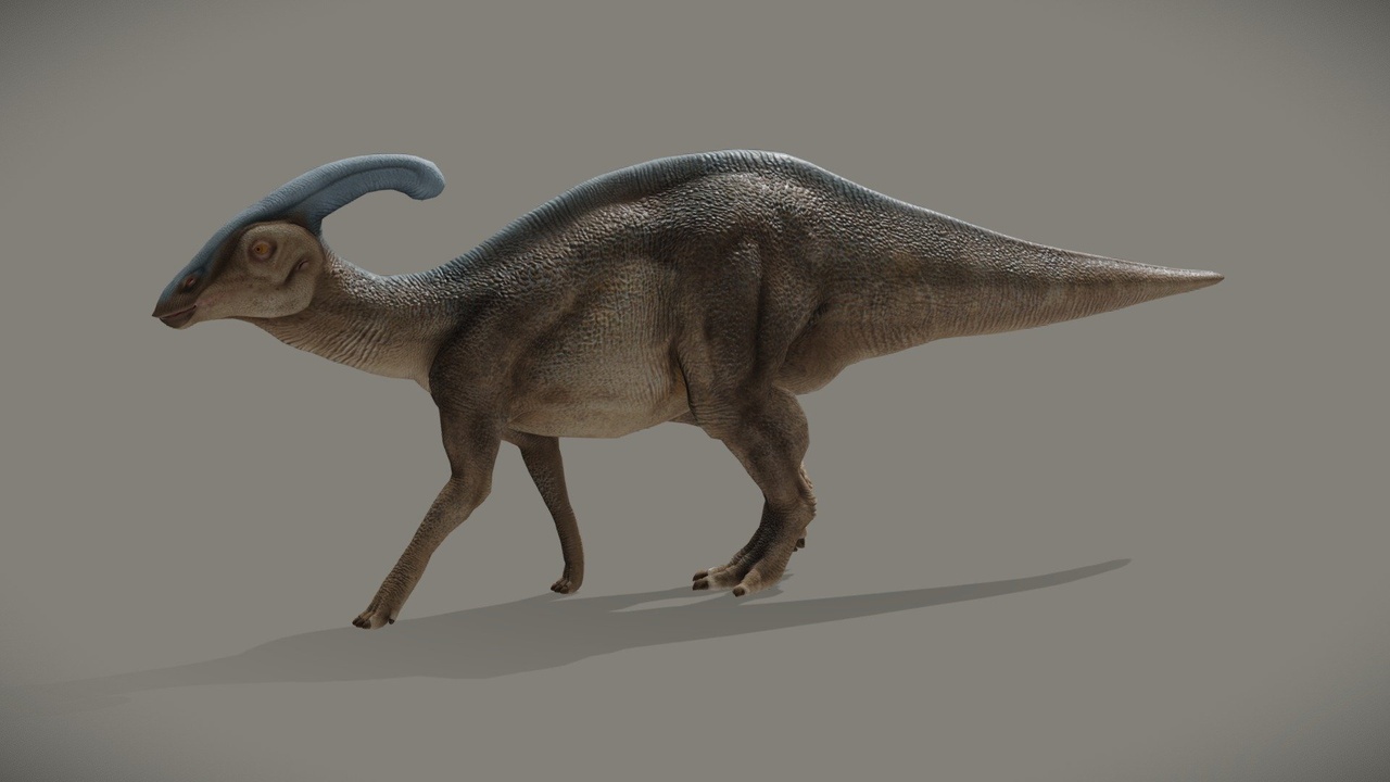 Media 1 for listing Parasaurolophus Walkeri
