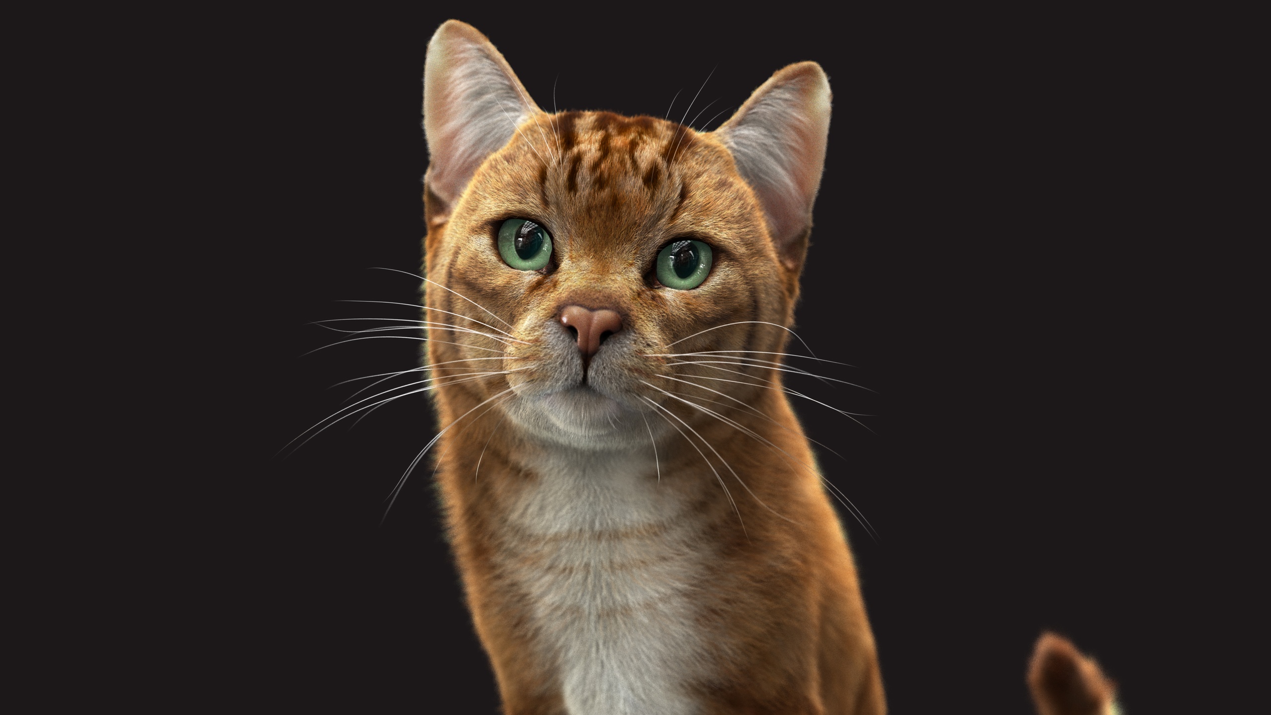 Media 1 for listing Cat Orange Tabby (RIG) Maya Xgen-Core