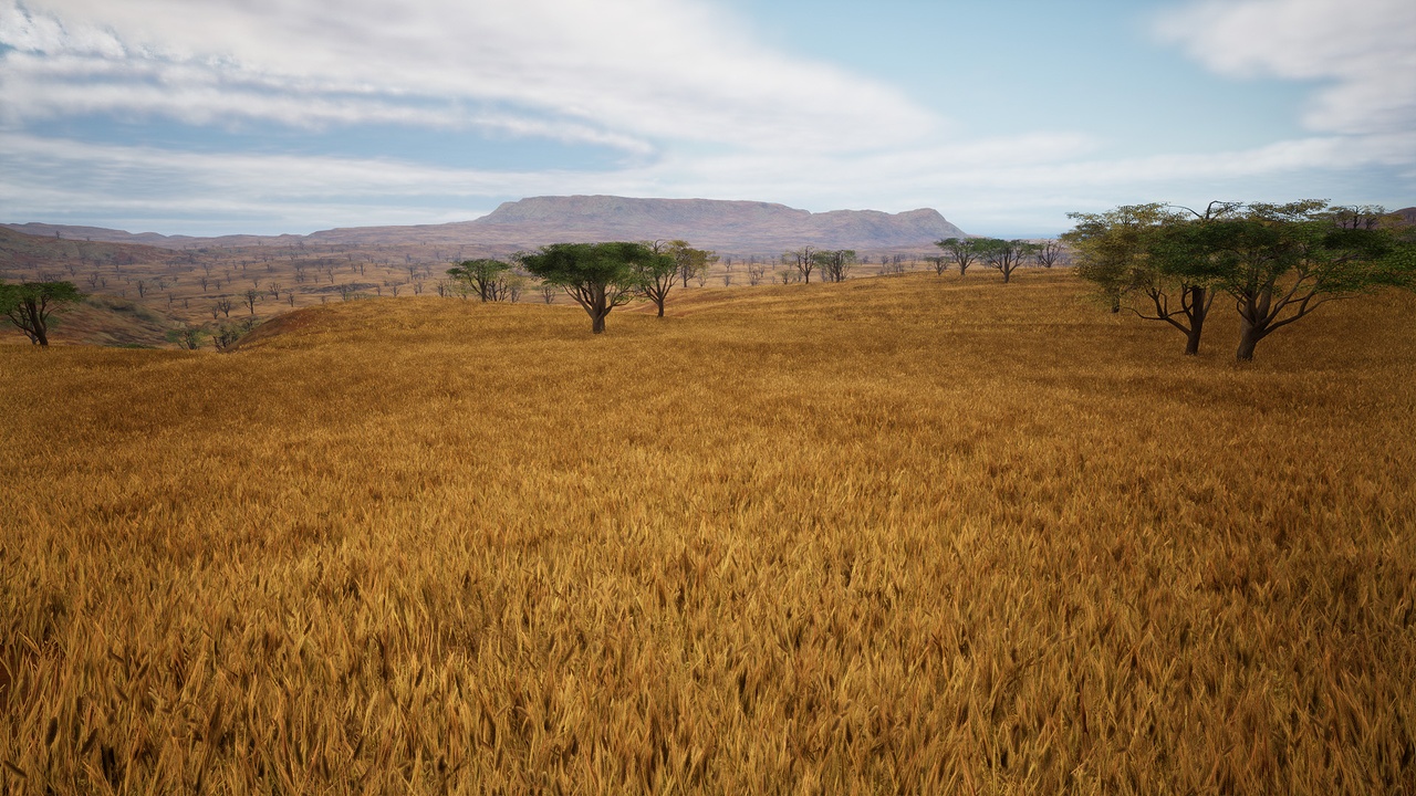 8K Savannah Landscape Pack | Fab